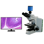 Digital HD Pathology Microscope