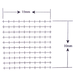 KR817 Counting Chamber Reticle