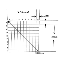 KR465 Grid Reticle 100 Squares 20mm x 20mm