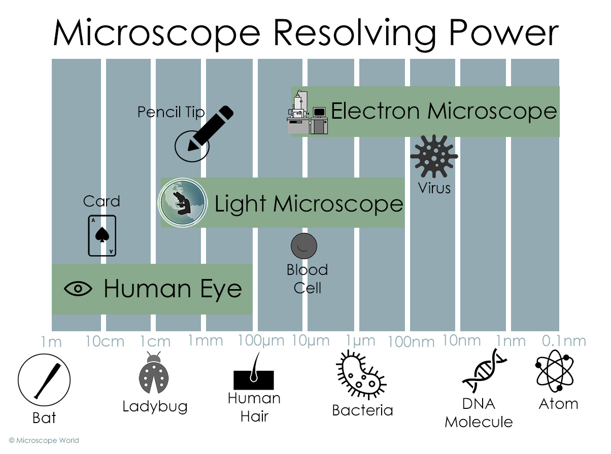 Microscope Resolving Power Microscope Resolving Power